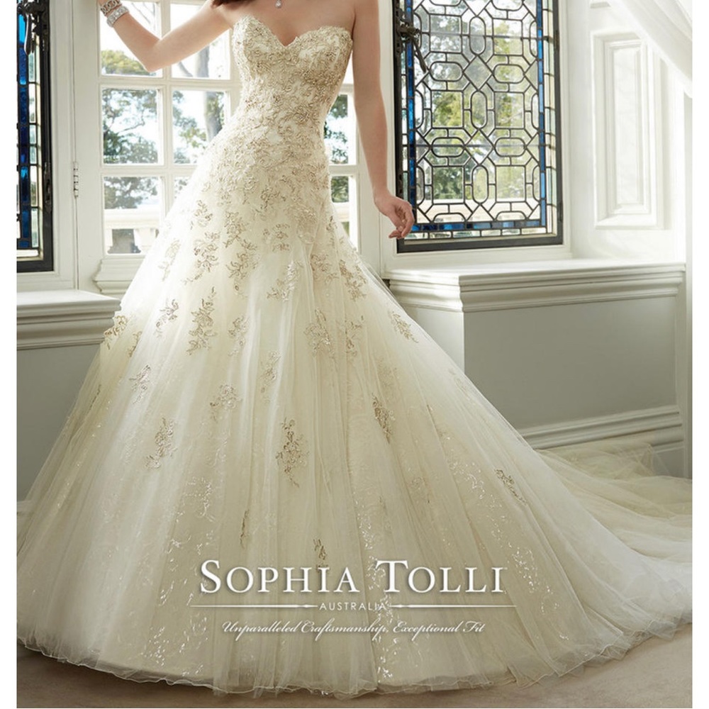 Sophia Tolli Size 12 Wedding Dress